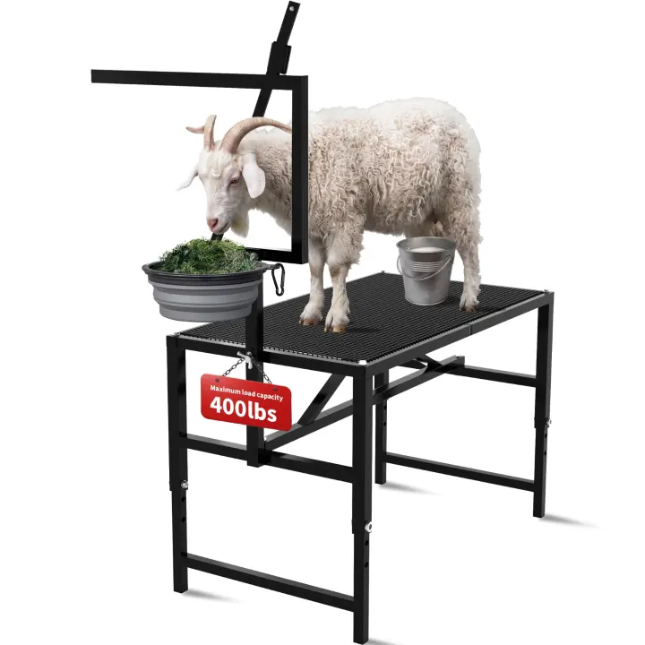 Adjustable Goat Milking & Grooming Stand with Feed Bin and Head Restraint