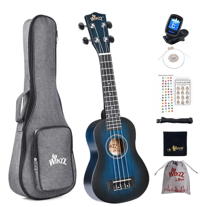 Winzz 21-inch Soprano Ukulele Kit — Vintage Blue Finish