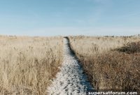 IMT-2030 Vision: Industry Experts Define the Roadmap to 6G