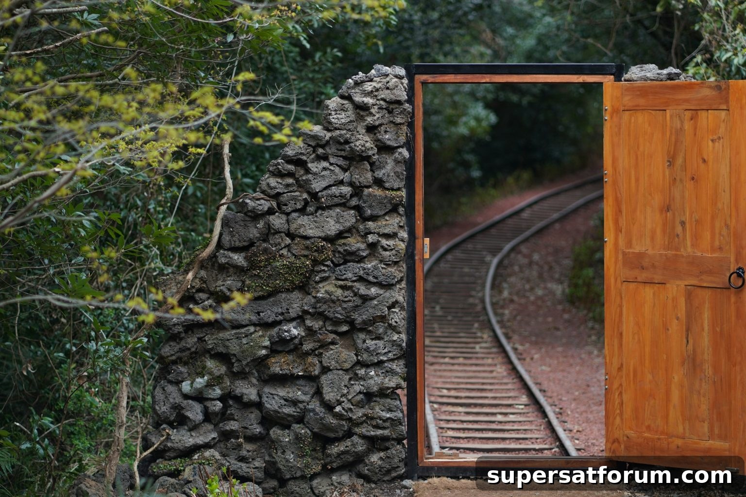 featured 100891