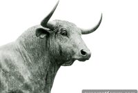 Phantom Taurus: Chinese Cyberespionage Group Targeting Governments