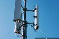 China Leads Global Cellular IoT Market Share and Growth Trends