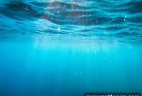Securing Subsea Cable Networks: Critical for Global Operations