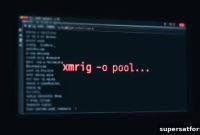 Chaos RAT Spreads Through Fake Network Tools: How to Protect Yourself