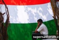Who Won the India 3G Roaming Pacts Case?