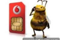 Are Free SIMs Gaining Popularity? What You Need to Know