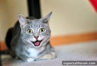 Britain Backs HyperCat to Lead the Internet of Things