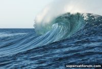 Riding the Big Data Wave: Strategies for Business Growth