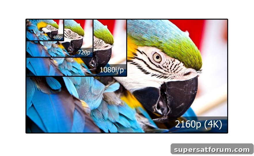 featured 38989