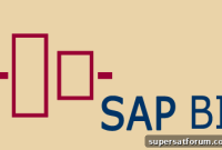 SAP BI Online Training Course: Comprehensive Live Classes & Certification