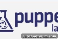 Mastering Puppet Training: Tips for Confident, Obedient Dogs