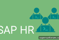 Master SAP HR: Comprehensive Training for HR Professionals