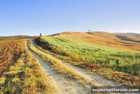 Ministers Face Pressure to Fast-Track Rural Broadband Funding