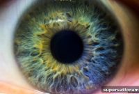 Telecoms May Soon Be Allowed to Sell Your Browsing History