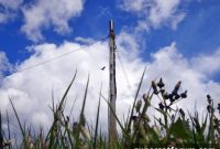 Vodafone Awards OpenRAN Contracts to Samsung, NEC, Dell, Wind River and More