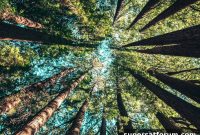 Three UK Reduces Energy Use with Ericsson’s AI-Powered Network Tech