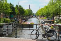 Dutch 5G Auction: KPN, Odido & VodafoneZiggo Win Crucial Spectrum