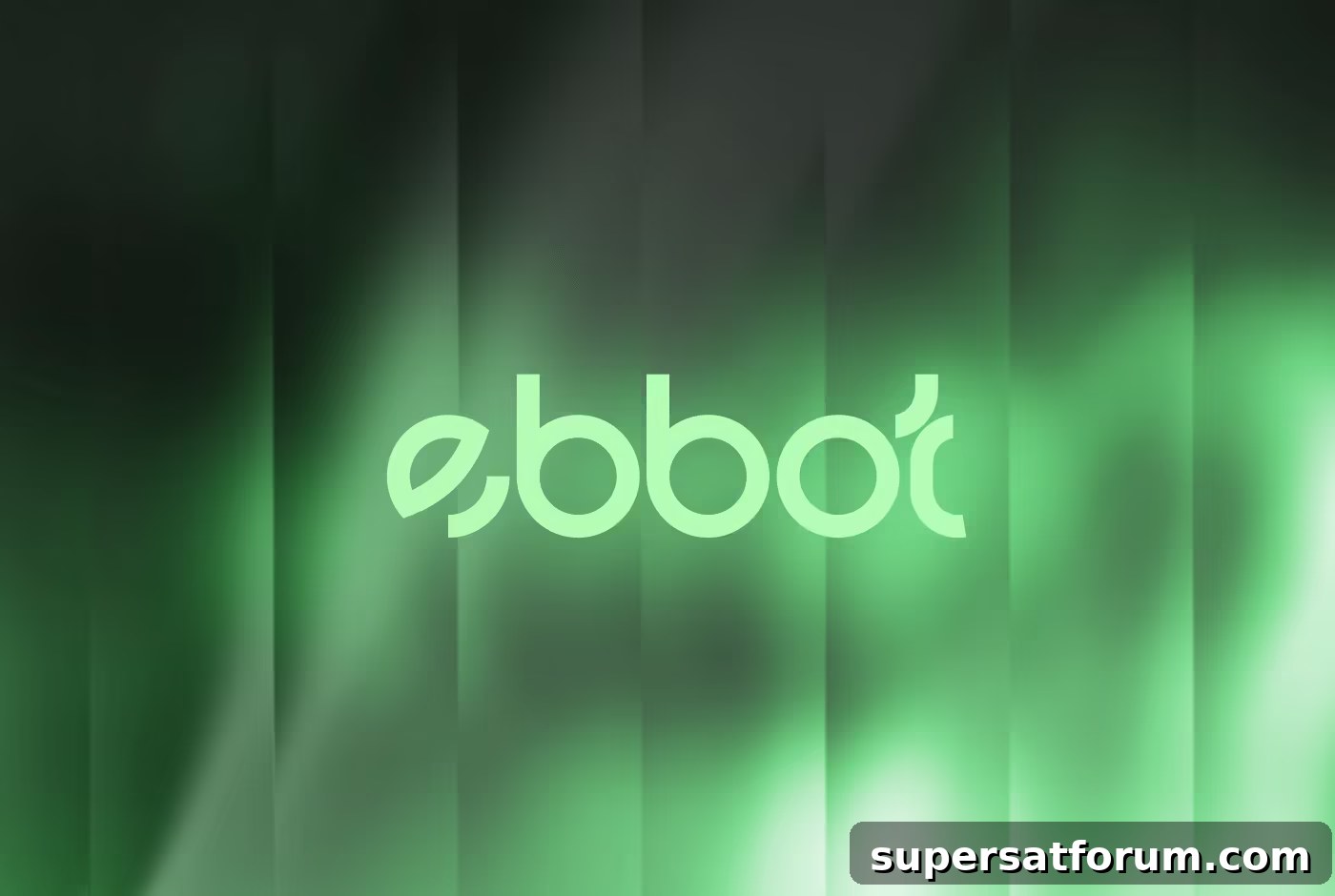 Johan Ekberg interim CEO of Ebbot