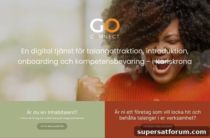 Go Nordic | IT-Branschen go nordic