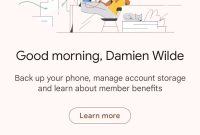Google One dark web reports roll out to all Google accounts from late July